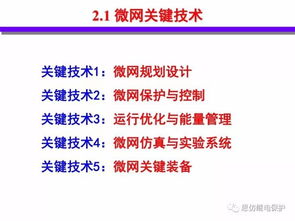 分布式能源智能微網(wǎng)技術(shù)與發(fā)展 網(wǎng)絡(luò)技術(shù)研究的關(guān)鍵角色與前沿趨勢(shì)